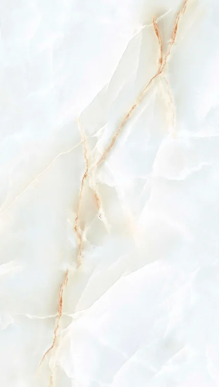 FORTUNA
