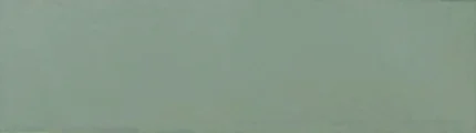 COLOR MENTA